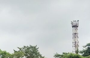 मुंबईकरांच्या सोयीसाठी ४ वर्षांपूर्वी आणलेल्या, मिनी बस गाड्या बेस्टच्या आणिक आगारात सडत