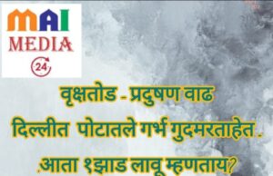 गॅस सवलत गेली, झाडं तोडली, गर्भ गुदमरताहेत… आता उपाय काय? य” -* शीतल हरिष करदेकर | माईमीडिया२४*