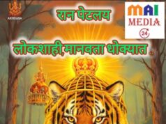 रान पेटतंय…* *वाघ बिबट्या लांडगा आणि ट्रॅपमधे ‘काटेदार साळींदर’!