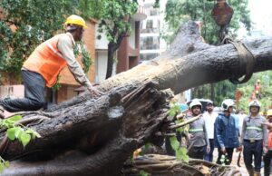 *चेंबूर येथे शाळेच्या बसवर पिंपळाचे झाड कोसळून एका विद्यार्थ्याचा मृत्यू तर चौघे विद्यार्थी जखमी*