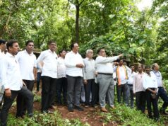 *स्मारकाच्या कामाचा आढावा आणि नियोजित आराखड्याची पाहणी*