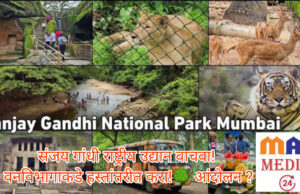 संजय गांधी राष्ट्रीय उद्यान वाचवा! वनविभागाकडे हस्तांतरीत करा! 🌳 *”वृक्षवल्ली आम्हा सोयरे”- पण आज सोयऱ्यांना वाचवायला कोणीच नाही.- शीतल हरीश करदेकर