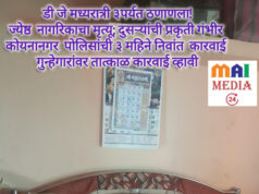 डीजे मध्यरात्री ३ पर्यंत ठणाणला! ज्येष्ठ नागरिकाचा मृत्यू; दुसऱ्यांची प्रकृती गंभीर* कोयनानगर पोलिसांची ३ महिने निवांत कारवाई* *गुन्हेगारांवर तात्काळ कारवाई व्हावी – शीतल हरीश करदेकर (माई)