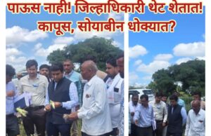 *पाऊस नाही! जिल्हाधिकारी थेट शेतात! कापूस, सोयाबीन धोक्यात?*