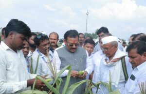 पालकमंत्र्यांनी केली पिकस्थितीची पाहणी