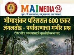 *उद्योगपतींसाठी निसर्गाची कत्तल, भीमाशंकरच्या जंगलात होणाऱ्या वृक्षतोडीला काँग्रेसचा कडाडून विरोध*
