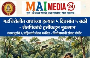 गडचिरोली जिल्ह्यात वाघांच्या हल्ल्यांत गेल्या ५ ते १० दिवसांत ५ नागरिकांचा मृत्यू झाला असून, दुसरीकडे हत्तींकडून शेतपिकांचे मोठ्या प्रमाणावर नुकसान होत आहे.- विजय वडेट्टीवार